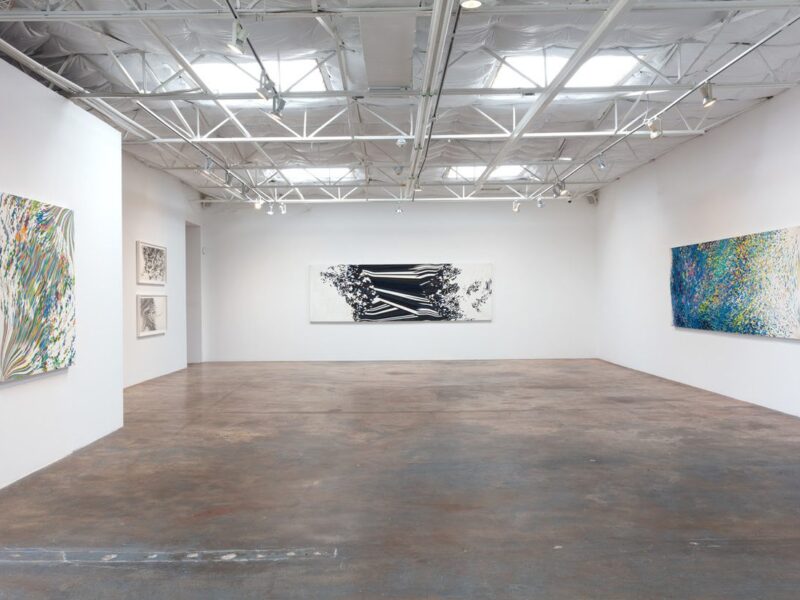 Sam Reveles: Solastalgia. Talley Dunn Gallery. Video