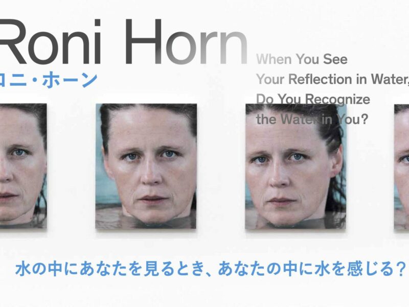 Roni Horn: When You See Your Reflection in Water, Do You Recognize the Water in You?