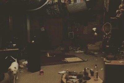 Wild Dogs. Michael Werner Gallery, East Hampton