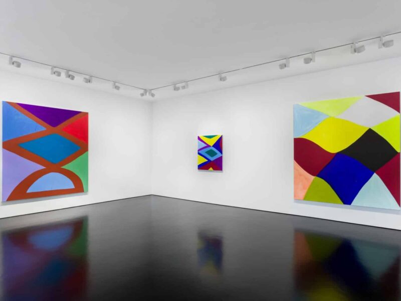 Marina Adams: Wild Is Its Own Way. Stephen Friedman Gallery. London