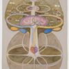 David Zwirner Announces Hilma af Klint: Tree of Knowledge