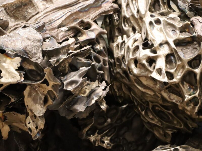 Conversation with Cristina Iglesias | MICAS Malta