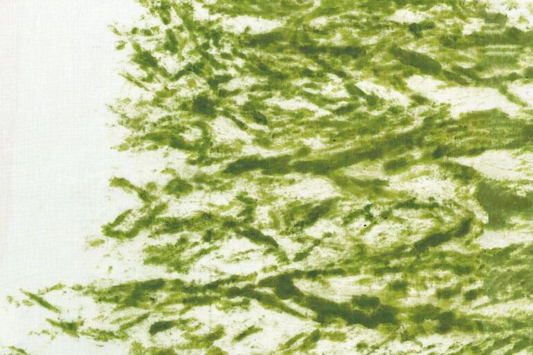 Giuseppe Penone | The National Library of France