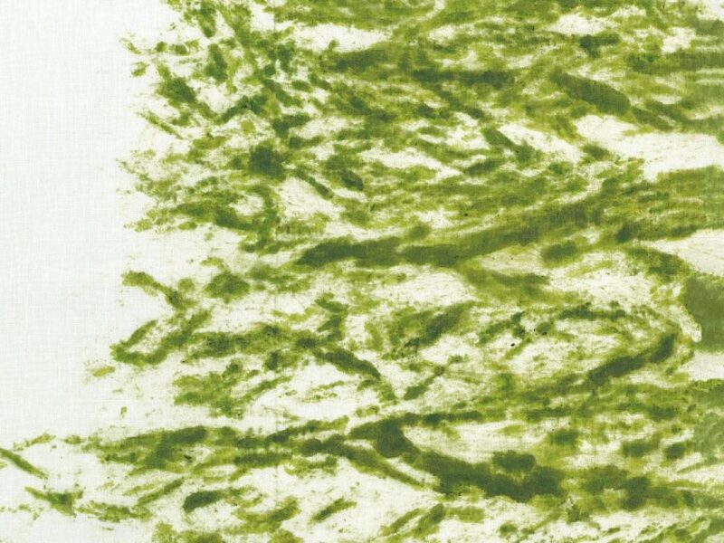 Giuseppe Penone | The National Library of France