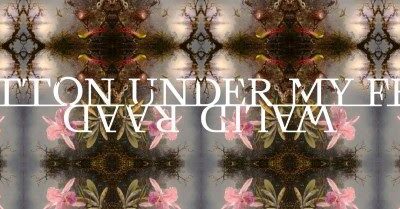 Walid Raad. Cotton Under My Feet. Museo Nacional Thyssen-Bornemisza