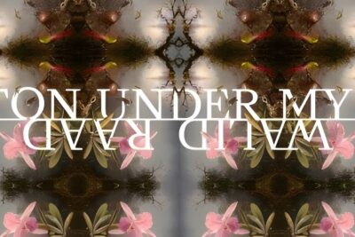 Walid Raad. Cotton Under My Feet. Museo Nacional Thyssen-Bornemisza