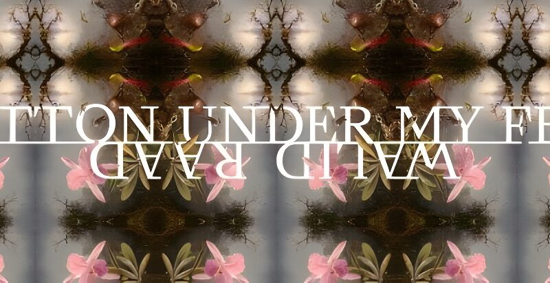 Walid Raad. Cotton Under My Feet. Museo Nacional Thyssen-Bornemisza