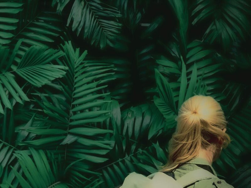 Zaireña, de Carol Luján