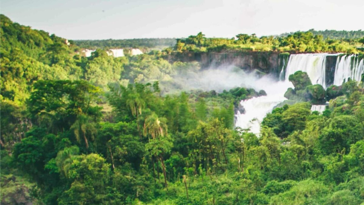 Parque Nacional Iguazú: selva, cataratas y sabores