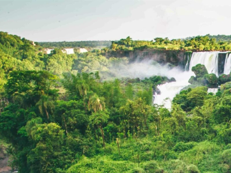 Parque Nacional Iguazú: selva, cataratas y sabores