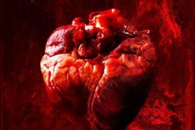 Butchers (2020). Movie Reviews