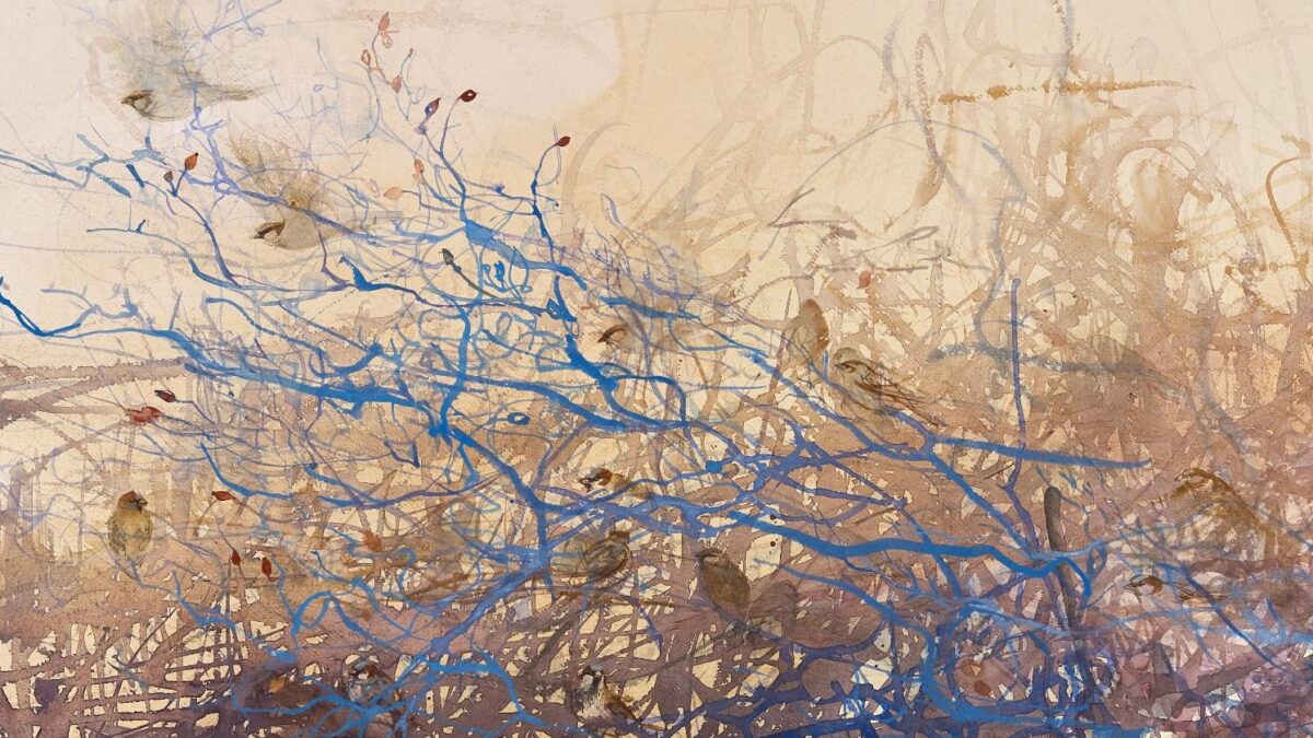 Claire Harkess RSW: The Garden. The Scottish Gallery