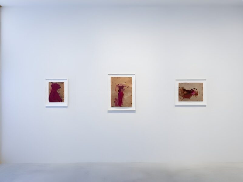 Reopening: Martha Jungwirth at Fergus McCaffrey Tokyo