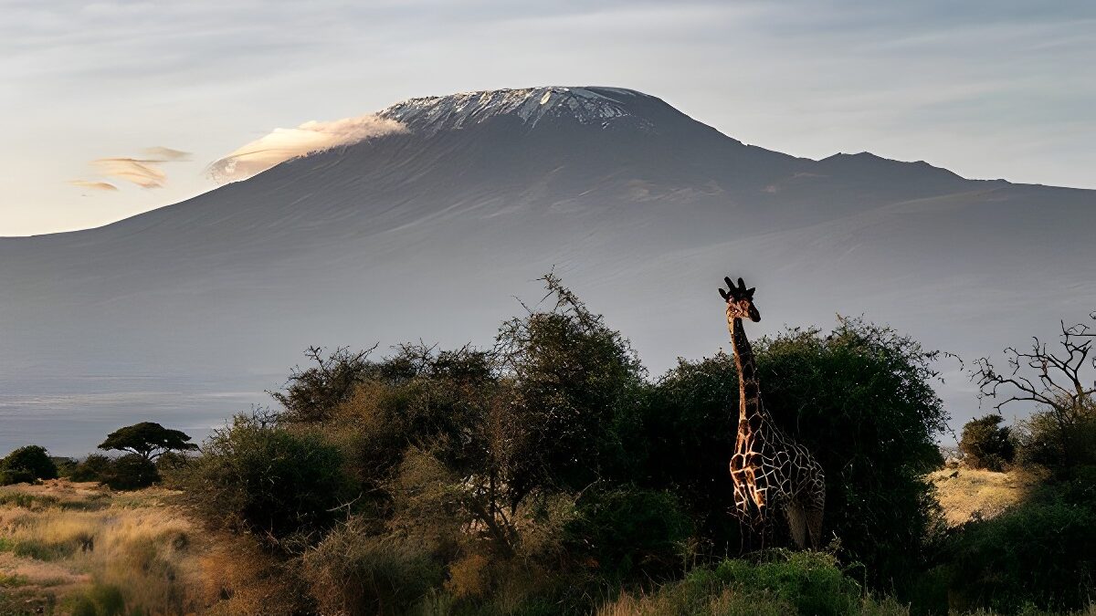 Viajar a Kenia (y Conseguir el Visado Electrónico)