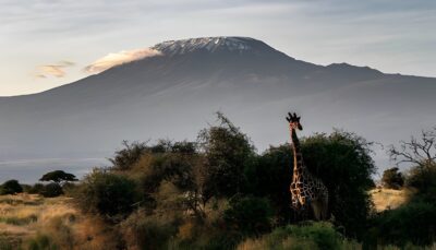 Viajar a Kenia
