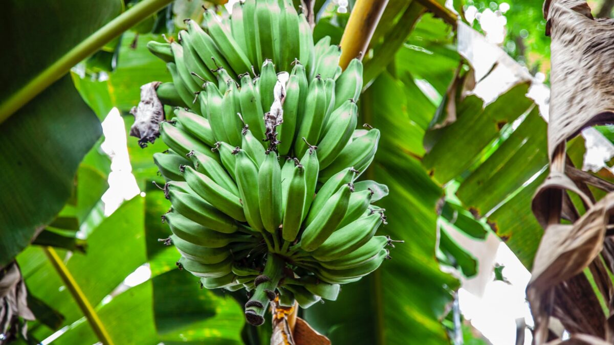 5 motivos por los que podrías necesitar tomar suplementos alimenticios