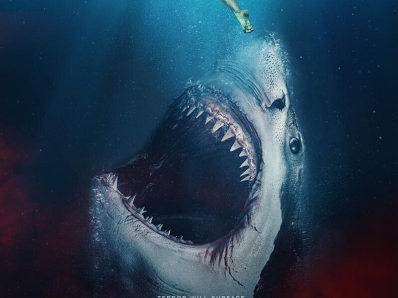 Sharkwater (The Requin) – 2022. Crítica de la Película