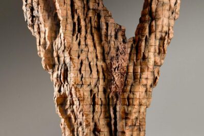 Ursula von Rydingsvard at Talley Dunn Gallery