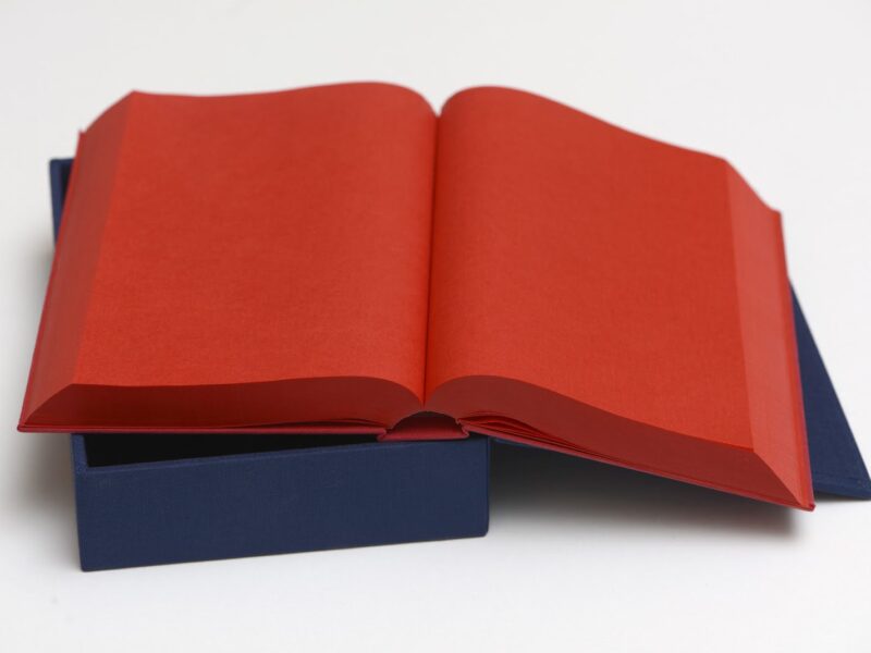 MGG Presents | Hans Ulrich Obrist on Ettore Spalletti | 26 January 2022