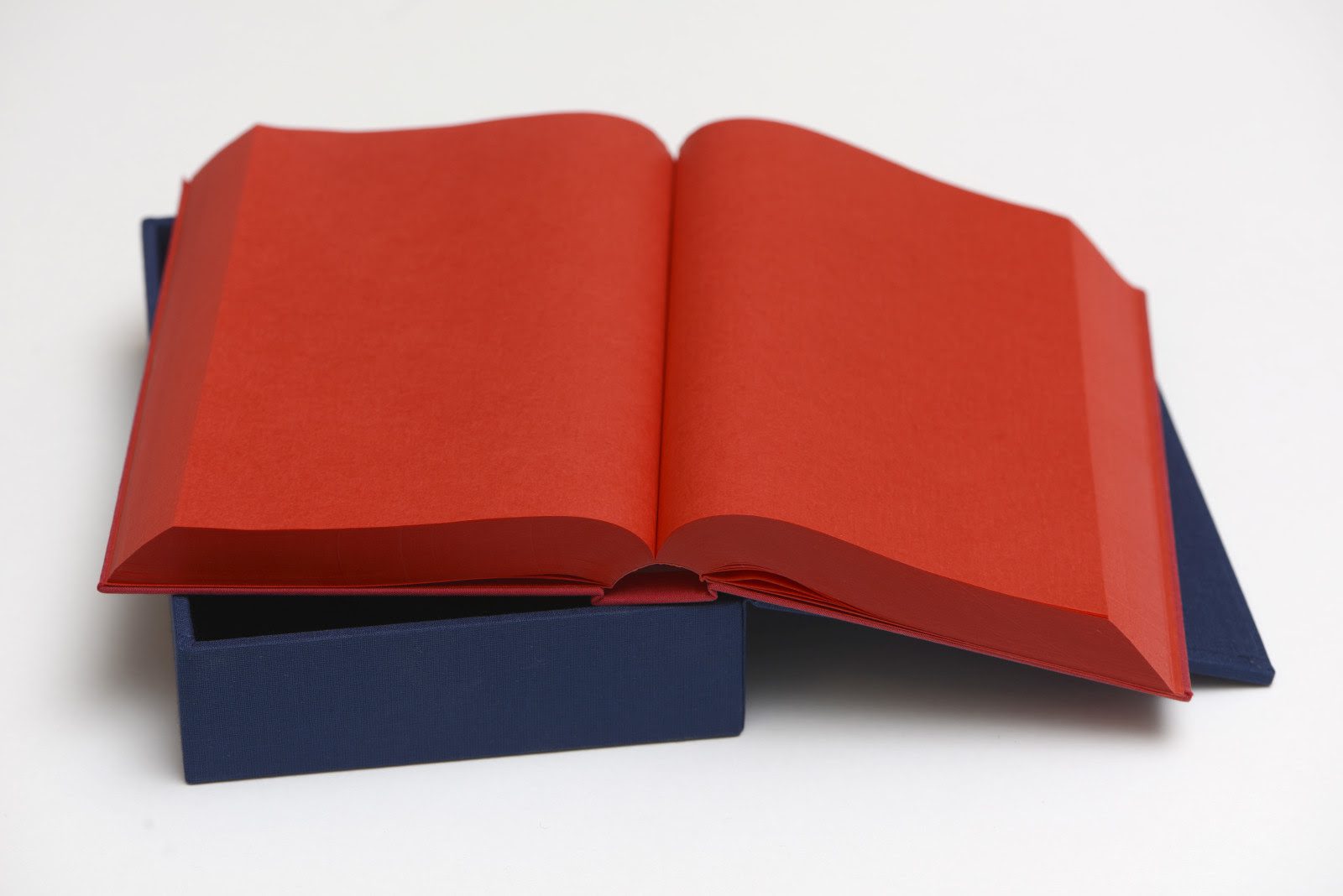 MGG Presents | Hans Ulrich Obrist on Ettore Spalletti | 26 January 2022