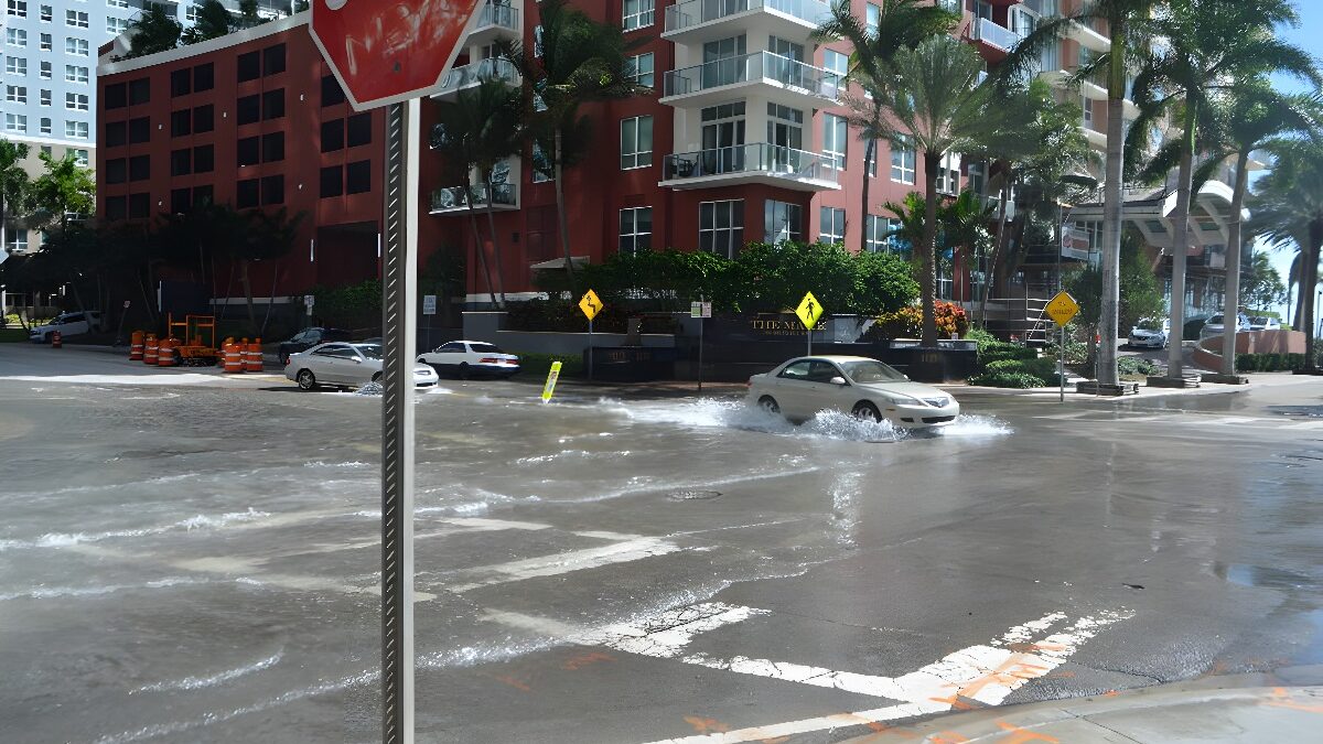 Sea Level to Rise up to a Foot by 2050, Interagency Report Finds
