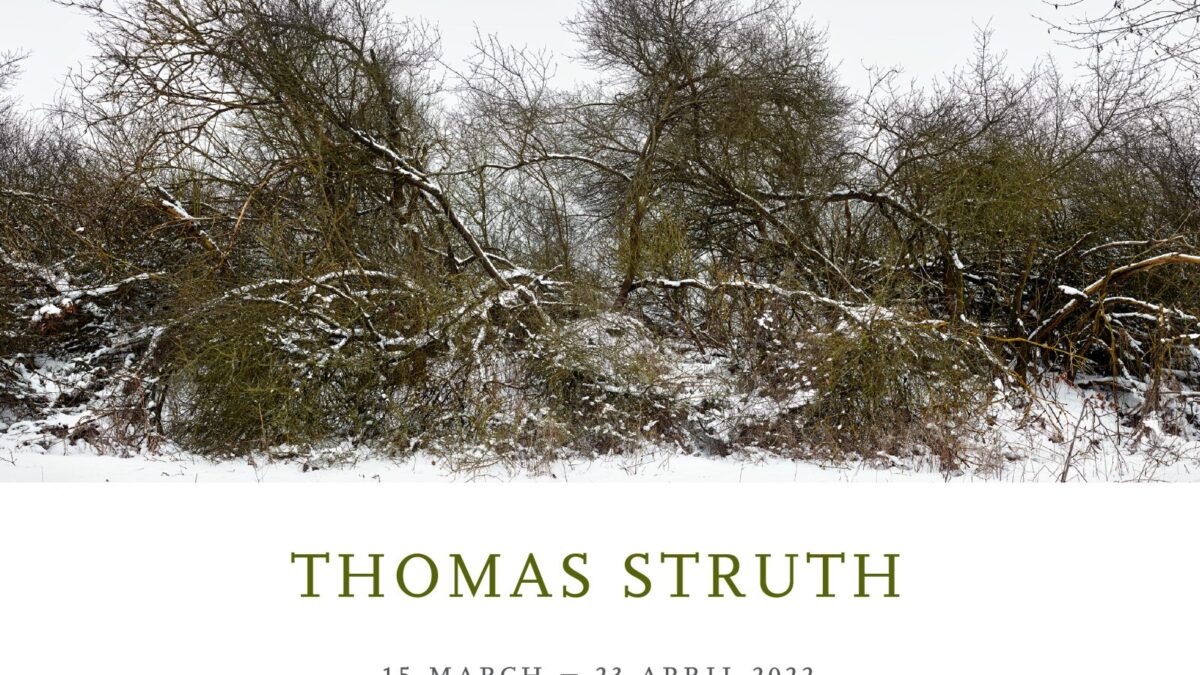 Thomas Struth. Marian Goodman Gallery