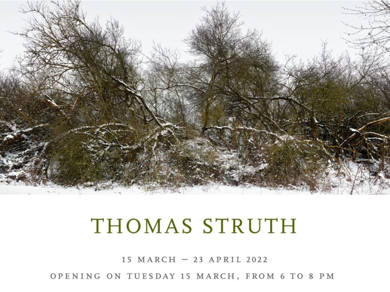 Thomas Struth. Marian Goodman Gallery