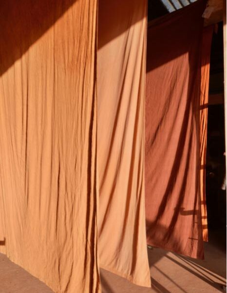 Andy Goldsworthy at Galerie Lelong & Co.