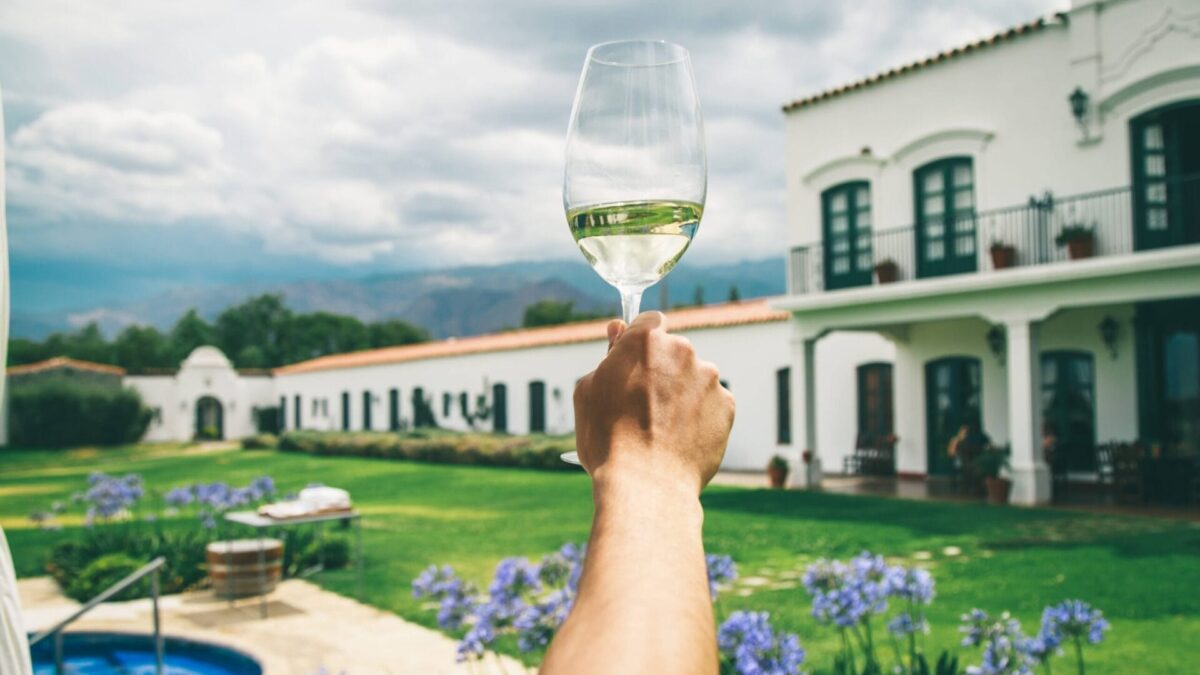 Vinos de altura en Argentina. Un distinguido tour gourmet por el norte del país
