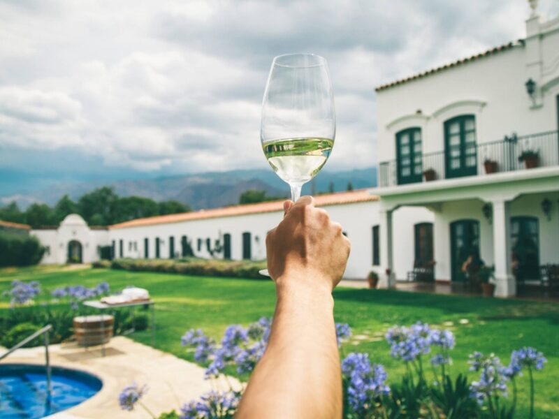 Vinos de altura en Argentina. Un distinguido tour gourmet por el norte del país