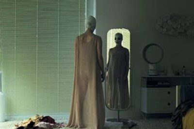 Goodnight Mommy (2014). Movie Reviews