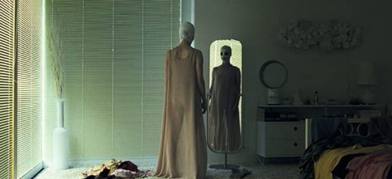Goodnight Mommy (2014). Movie Reviews