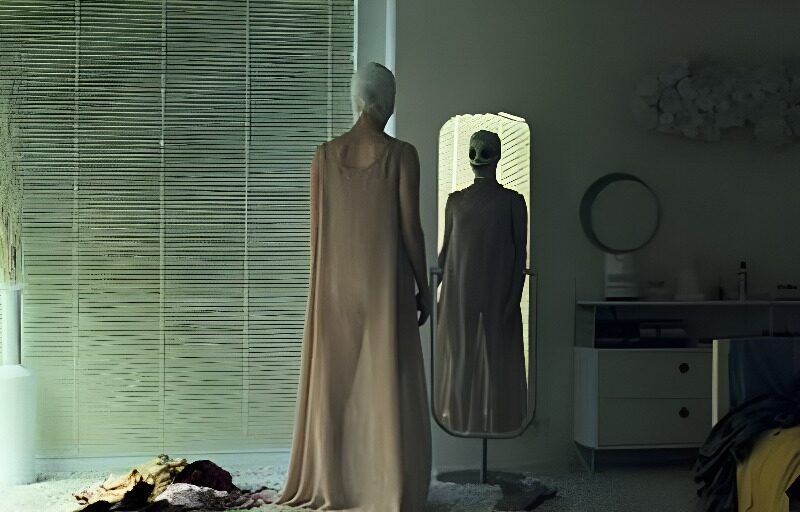 Goodnight Mommy (2014). Movie Reviews