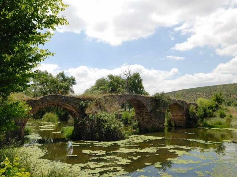 Próxima escapada Entreparques: cuatro planes para descubrirlo