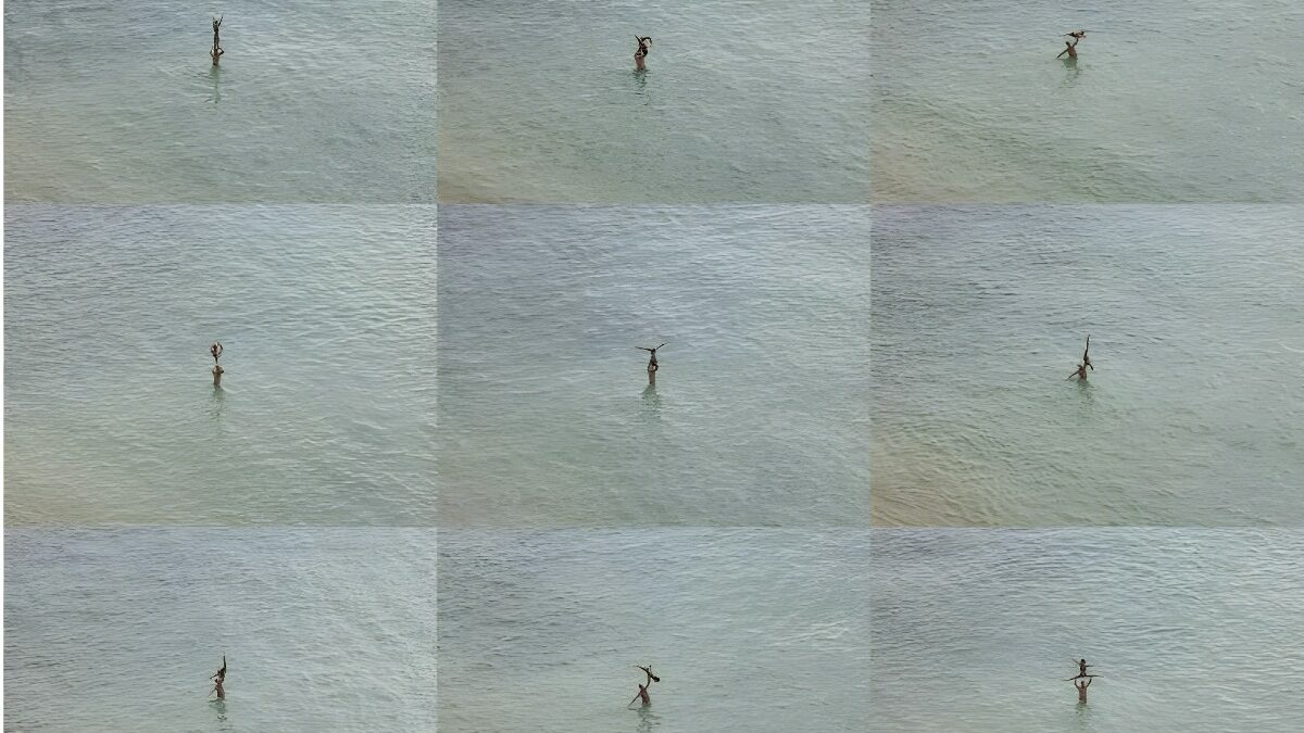 Richard Misrach: At the still point of the turning world, 2002-2022. Pace Gallery NY
