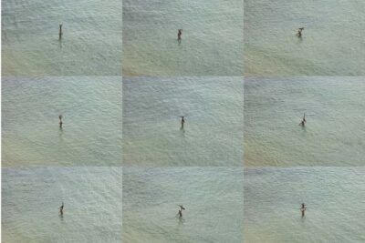 Richard Misrach: At the still point of the turning world, 2002-2022. Pace Gallery NY