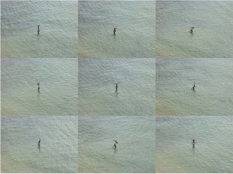 Richard Misrach: At the still point of the turning world, 2002-2022. Pace Gallery NY