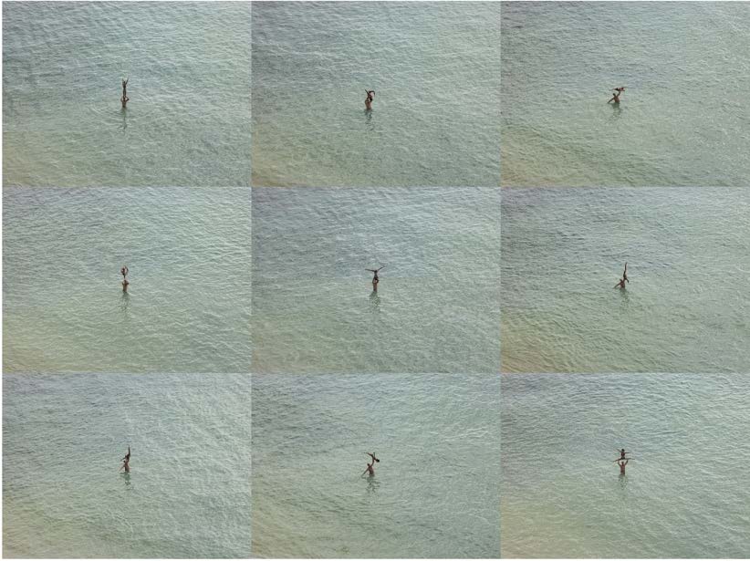 Richard Misrach: At the still point of the turning world, 2002-2022. Pace Gallery NY