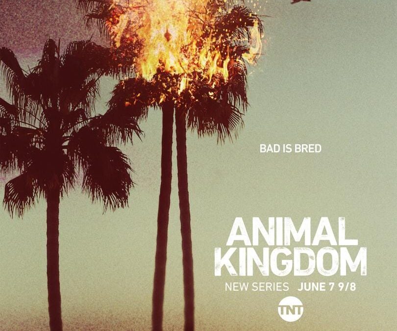 The Cody family returns in the explosive sixth and final season of “Animal Kingdom” on Sunday, June 19
