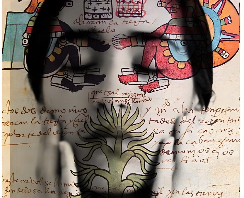 Tatiana Parcero On View in MoMA | “Our Selves”. jdc Fine Art