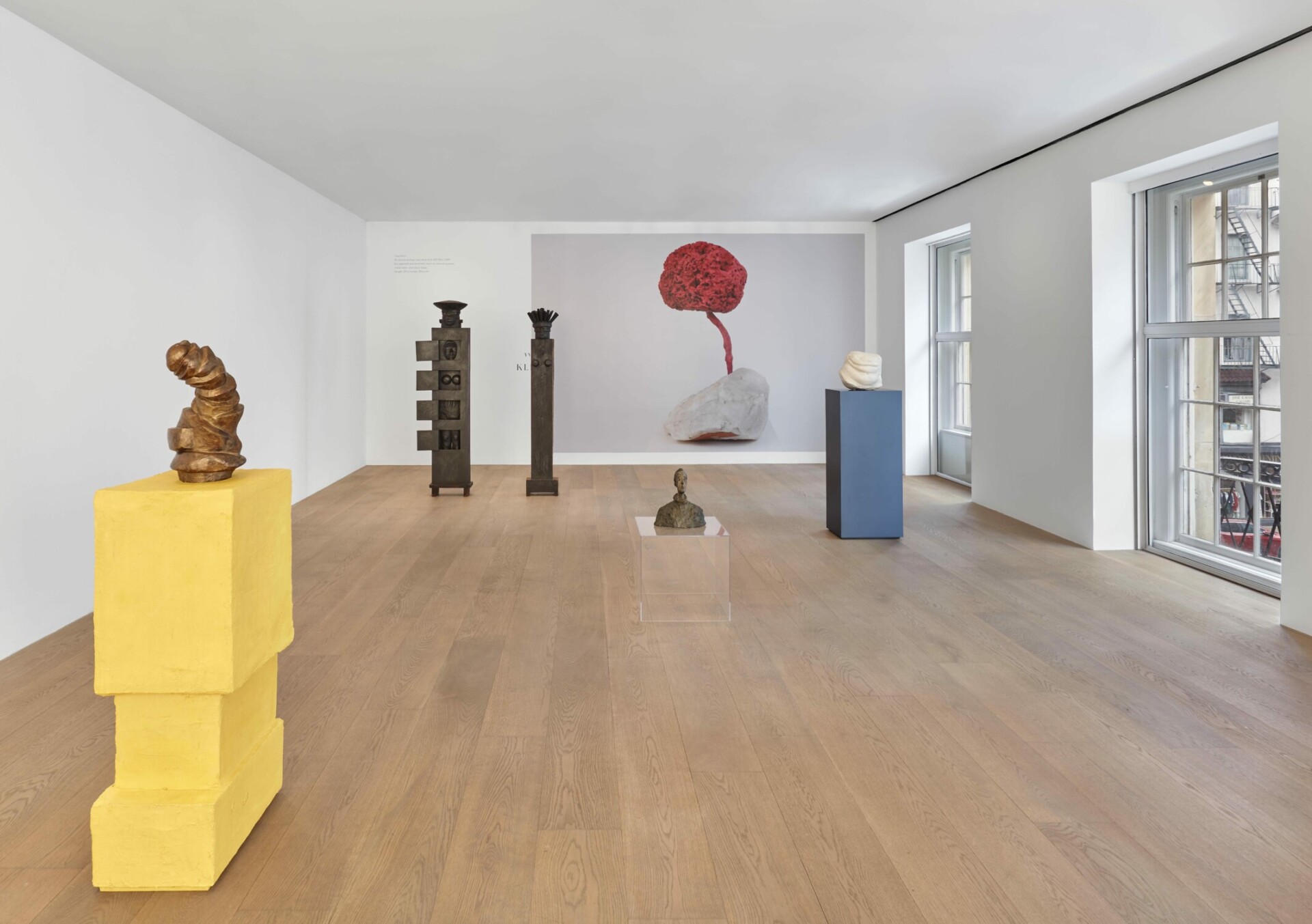 Stage Fright, Curated by Rachel Harrison. LGDR