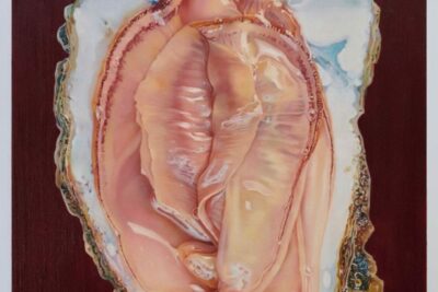 Fawn Rogers: Your Perfect Plastic Heart. Wilding Cran Gallery