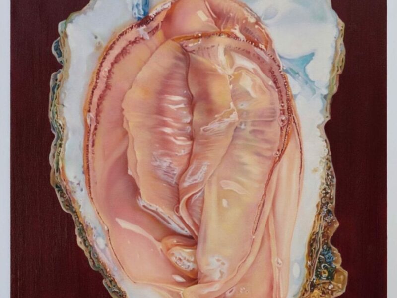 Fawn Rogers: Your Perfect Plastic Heart. Wilding Cran Gallery