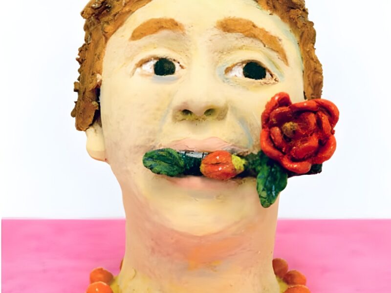 Venus Over Manhattan Announces the Representation of Sally Saul