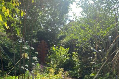 Summer Exhibition at The Scottish Gallery