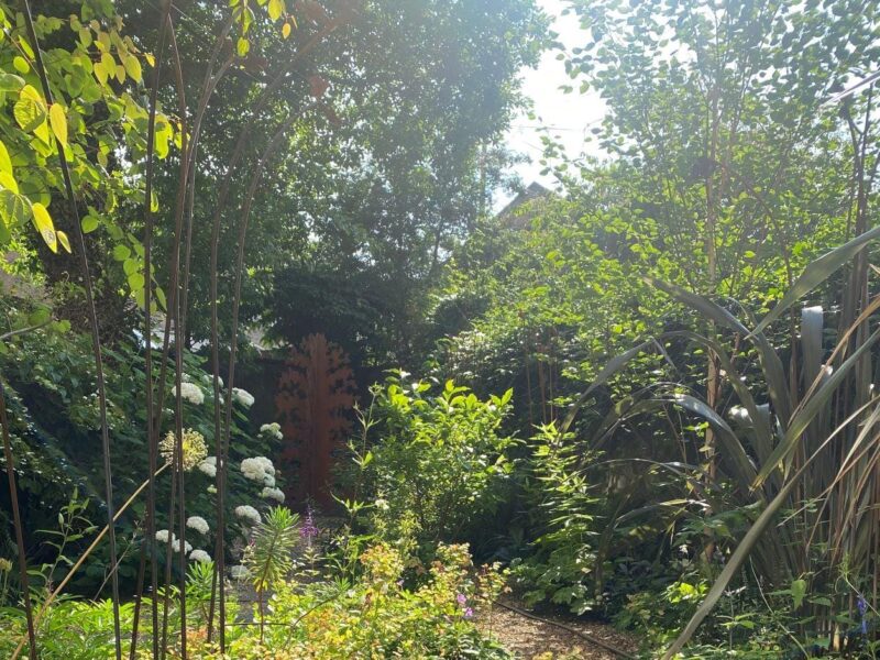 Summer Exhibition at The Scottish Gallery