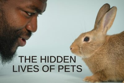 La Vida Secreta de Nuestras Mascotas (2022). Serie de Animales en Netflix