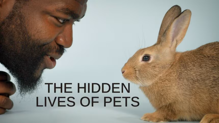 La Vida Secreta de Nuestras Mascotas (2022)