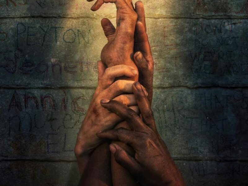 Los Árboles de la Paz (2022). Película Netflix. Estreno