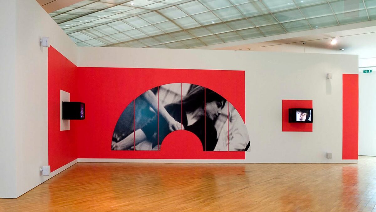Dara Birnbaum. Hessel Museum of Art